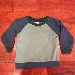 Hanna Andersson Green and Blue Sweatshirt